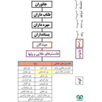 گونه ول اجتماعی Social Vole